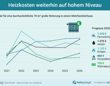 Diagramm Heizkostenspiegel